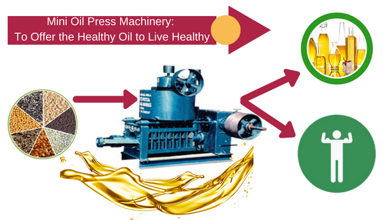 Mini Oil Press Machinery